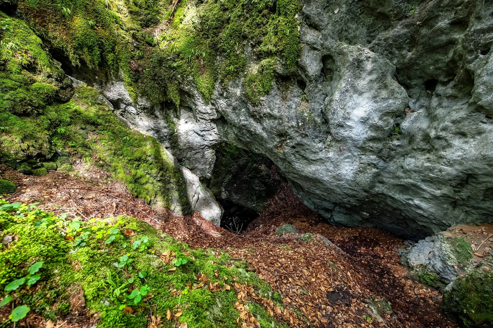 Mežakla in Triglav National Park