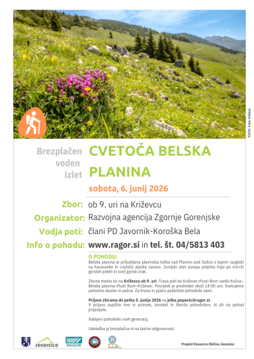 Cvetoča Belska planina